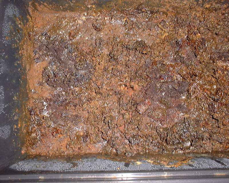 DSCF0053