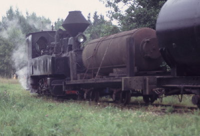 99 3310 mit Güterzug in Bor04.JPG
