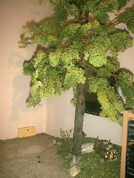 baum_0001111111.jpg