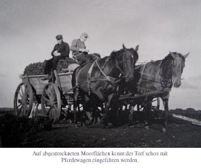 bild10.jpg