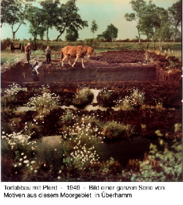 bild23.jpg