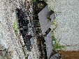 DSCN1347.JPG