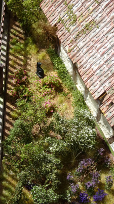 DSC01129.JPG