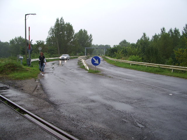 IMGP0581
