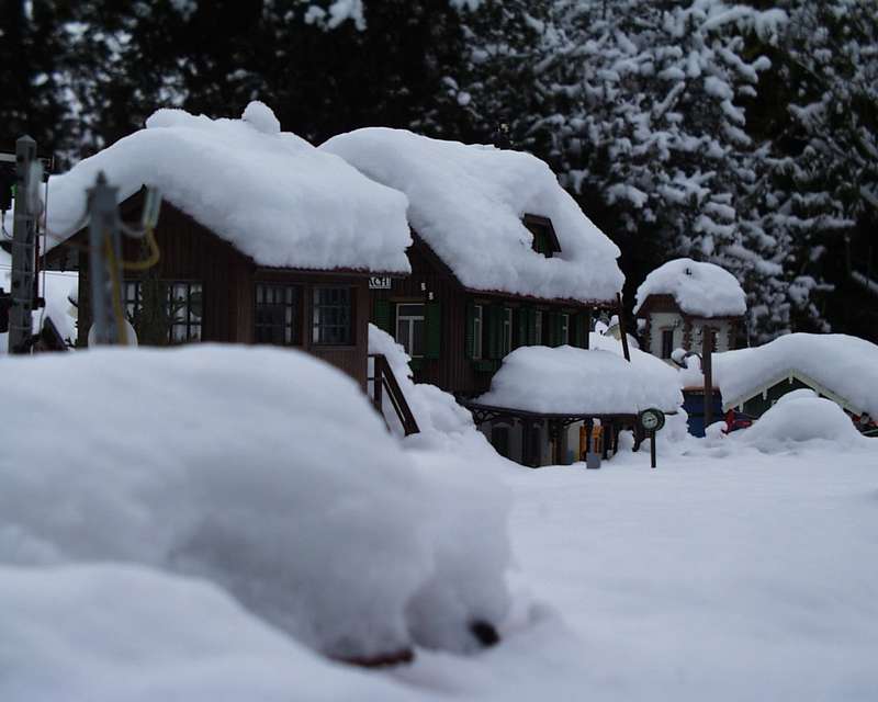Winter 2004