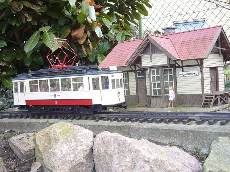 Tw16 Magnolienberg