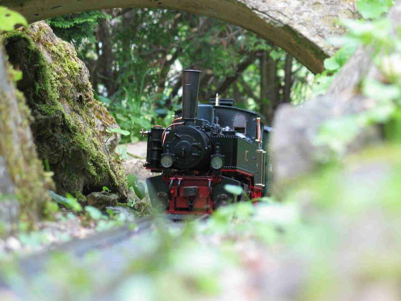 BILD0040