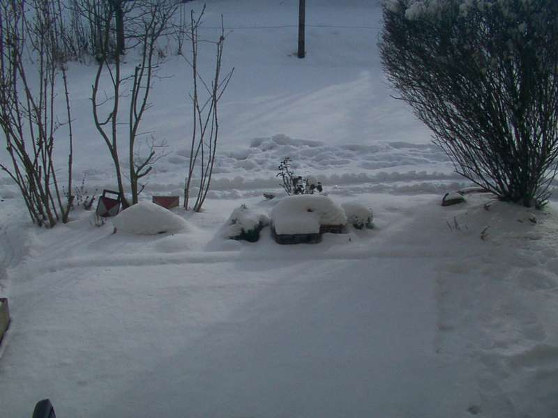 schnee250105-10