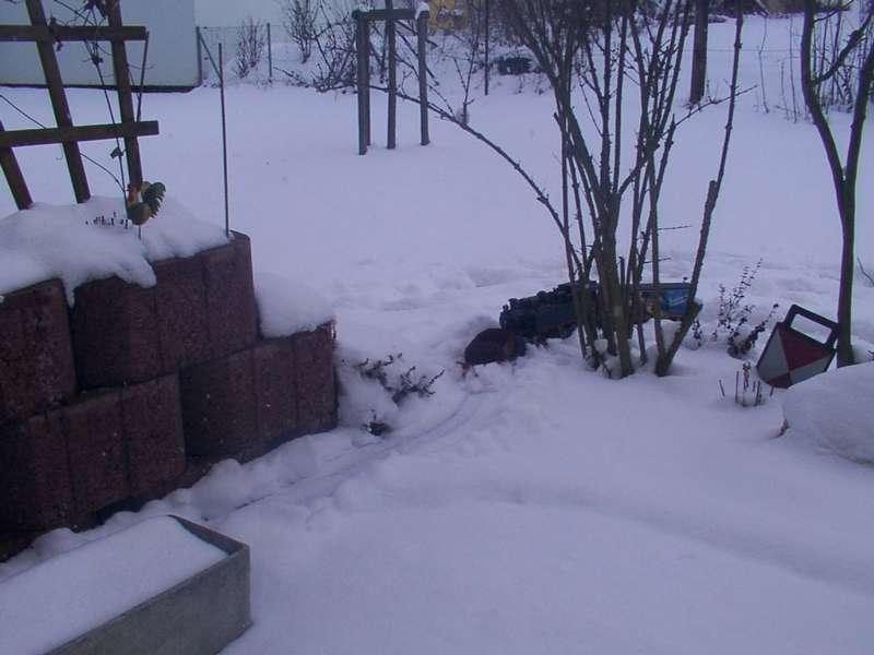 schnee250105-14