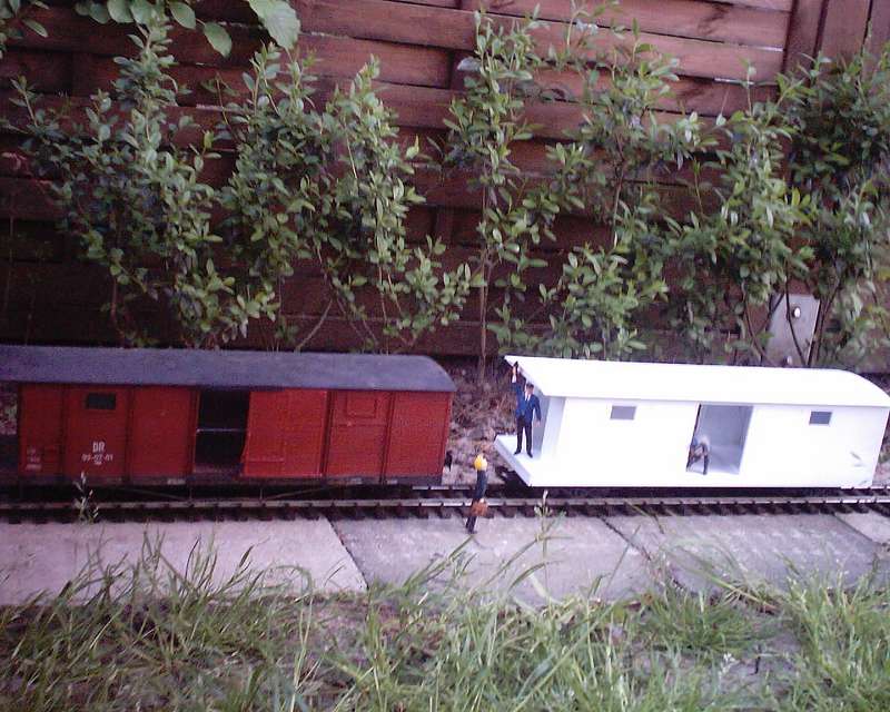Sun110001