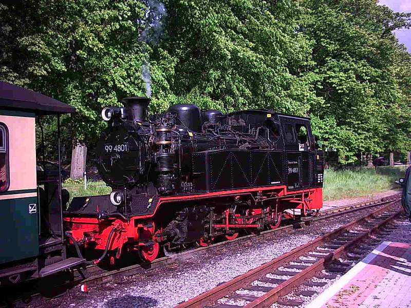 Auf Rügen