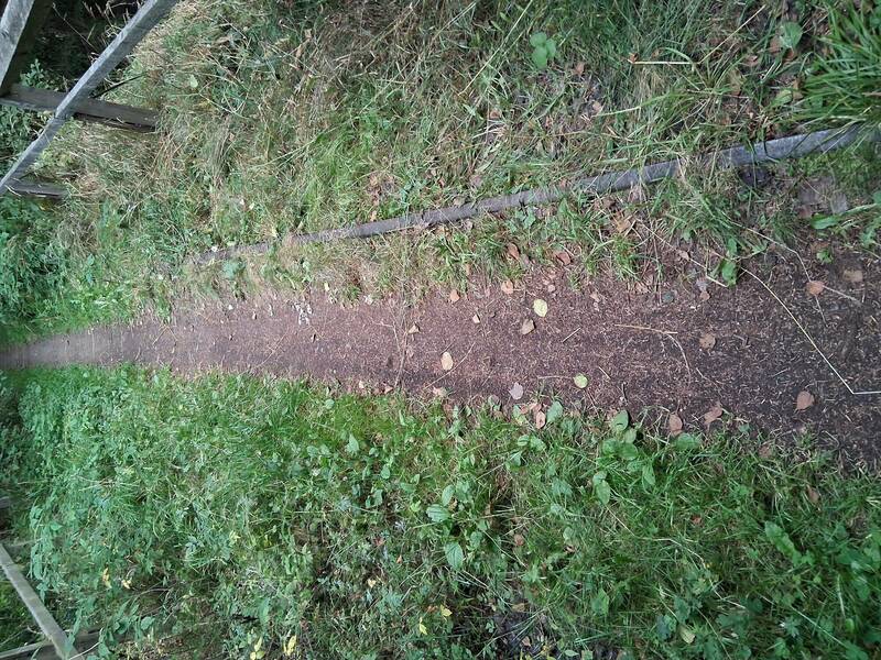 Gleis im Wanderweg