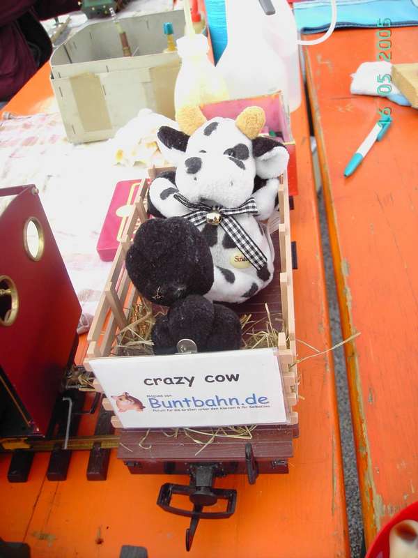 Lazy Cow