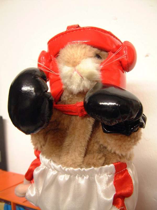Klitschko
