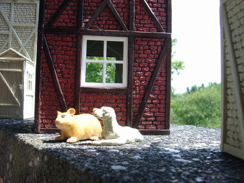 Neue_Freunde