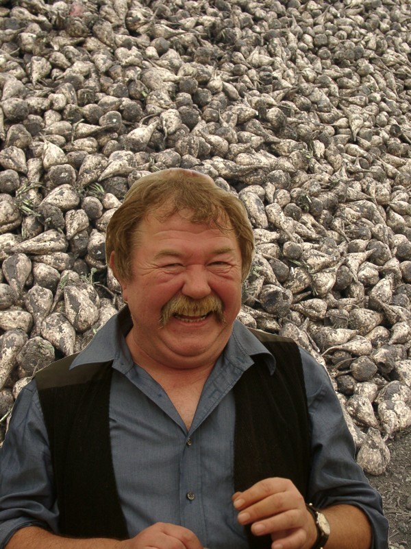 Zuckerrübenkönig