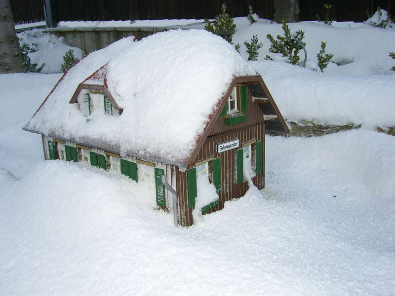 Winter 2