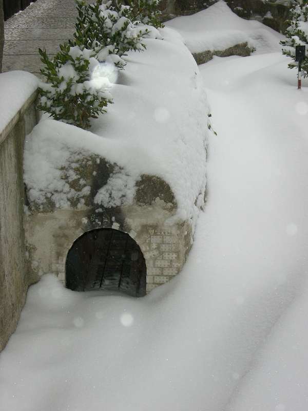Winter 3