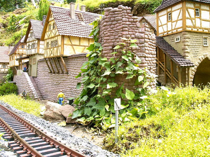 Efeu am Turm.