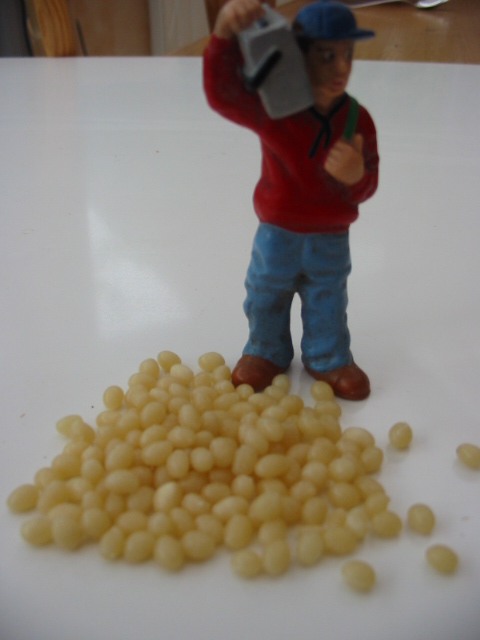 Zuckerrüben oder Kartoffeln