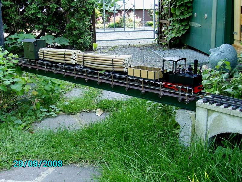 Waldbahnzug