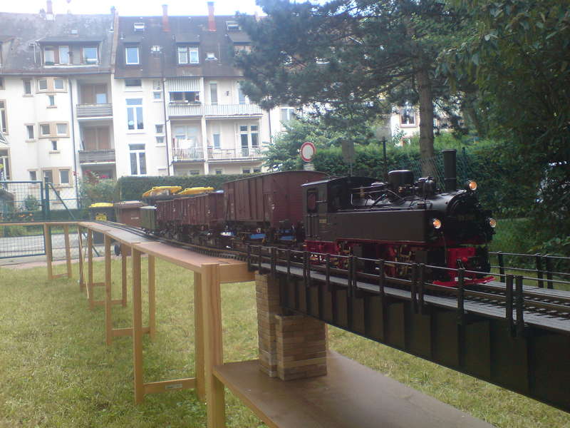 Garten_Juni_2008_015