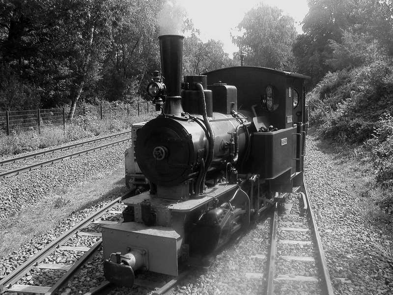 2011 Muttenthalbahn 05