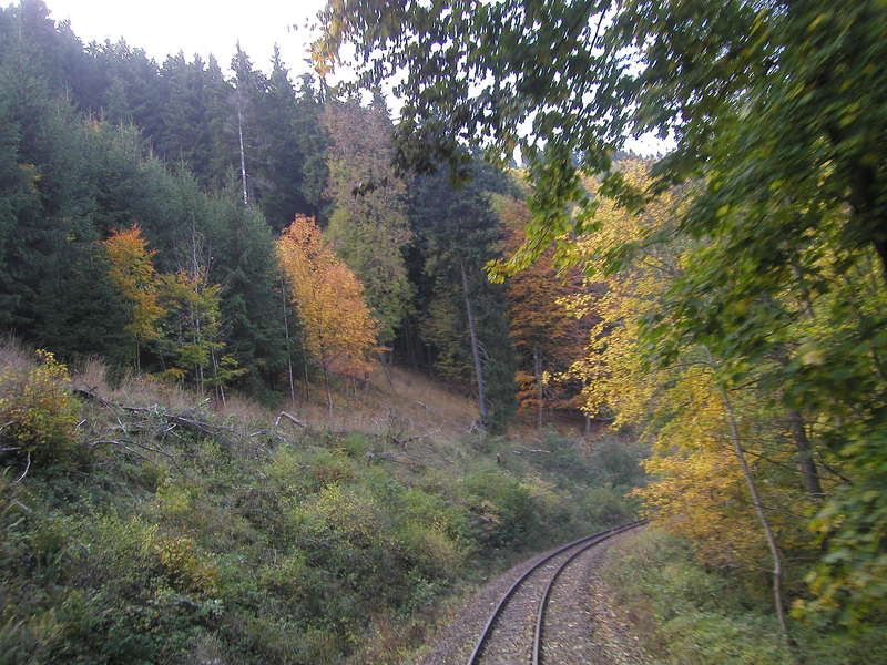 Bei Eisfelder Talmühle