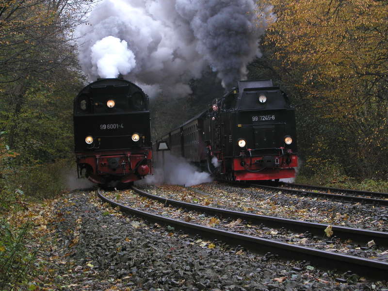 2010 Harz 10