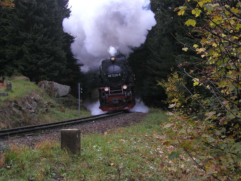 2010 Harz 12
