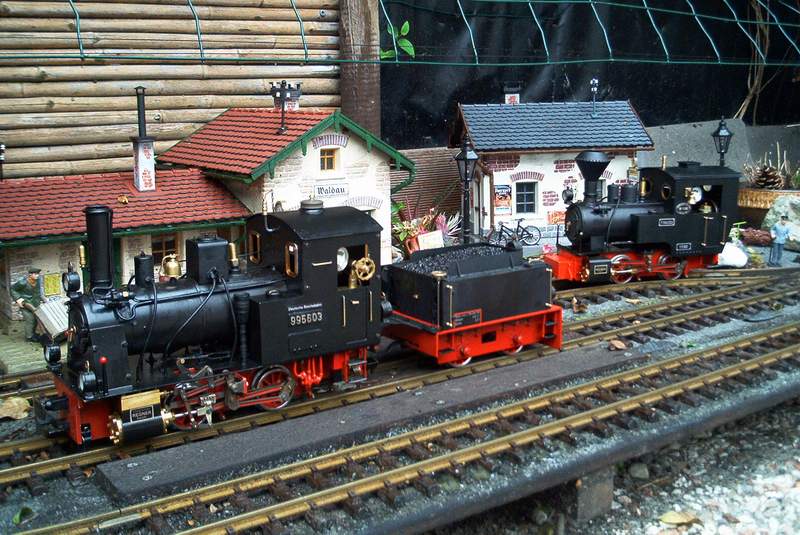 Frieda und 995603