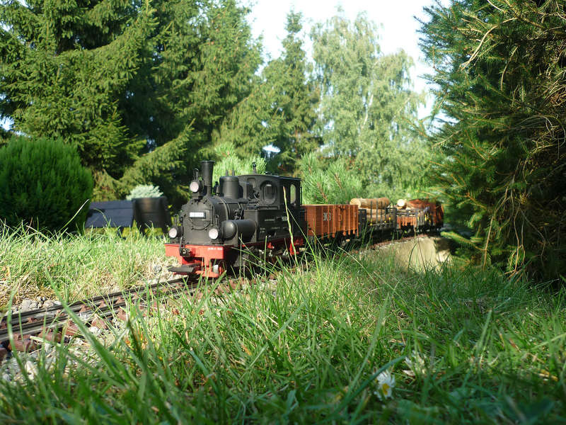2010 Auf der Strecke2