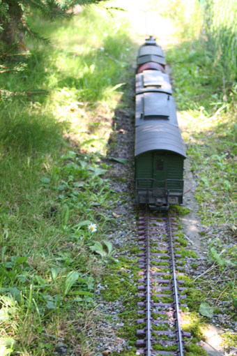 Durch_die_Heide