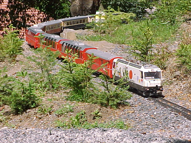 Gesellschaftszug zm Bhf Bellevue