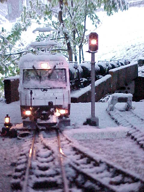 Wintergrüsse