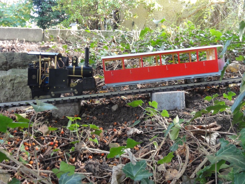 Live Steam Zahnradbahn