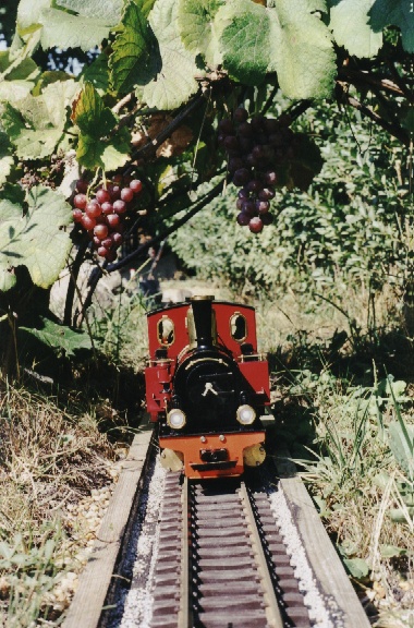 WEIN- TUNNEL