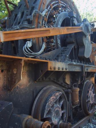 schwanengesang65_1_klein