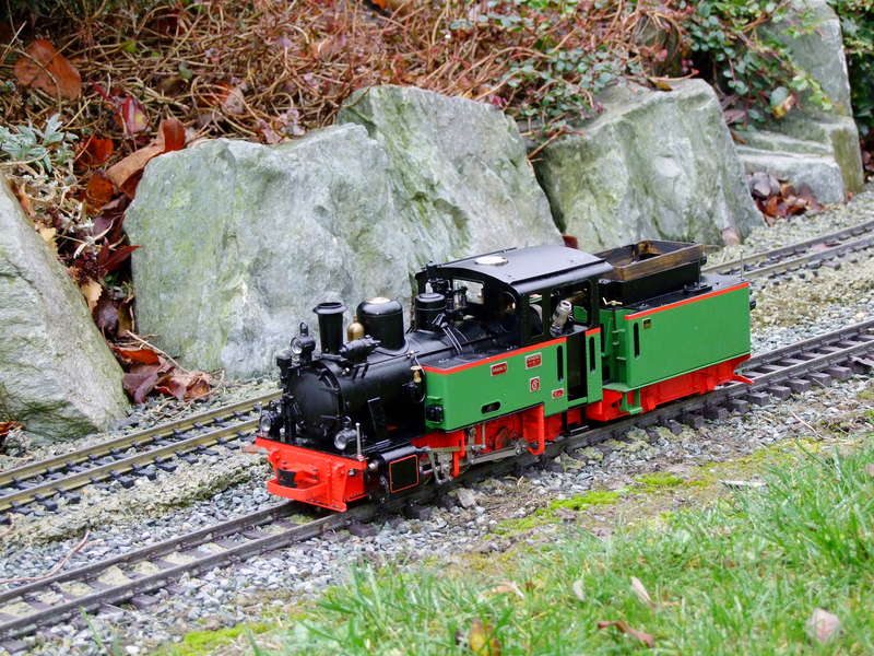 Meine erste Live Steam Lok