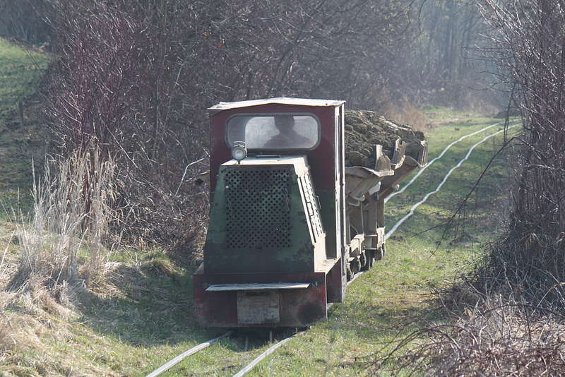 Danreiter 09