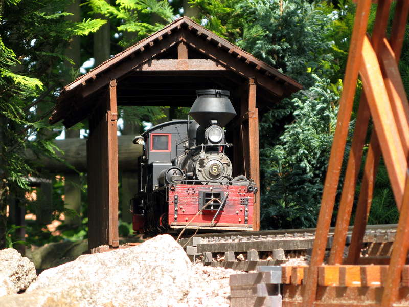 logging 1