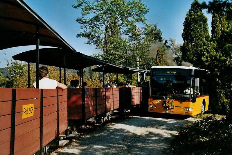 Beinahekollision mit einen Reisebus