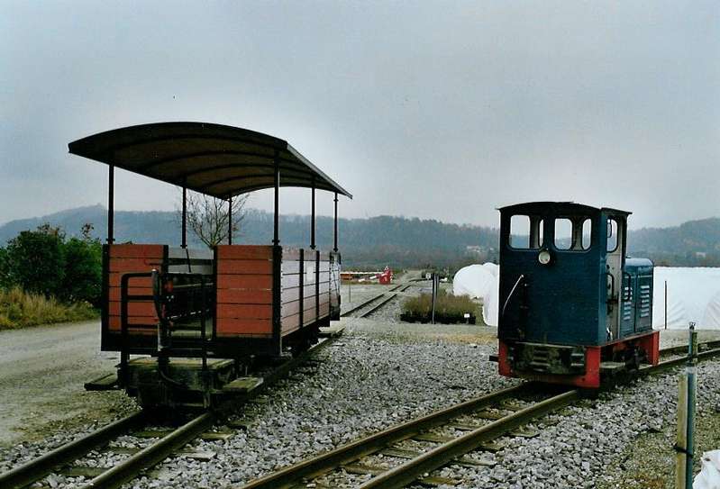 Der Rollstuhlwagen wurde mit der Abelia geholt