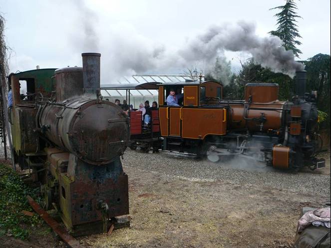SchBB Molly und rauchende Rupperswil