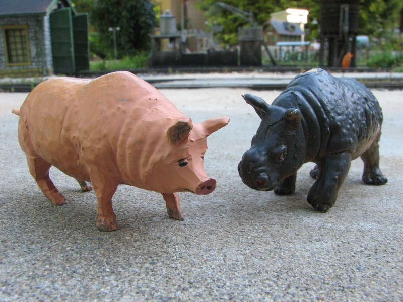 Nilpferdschwein