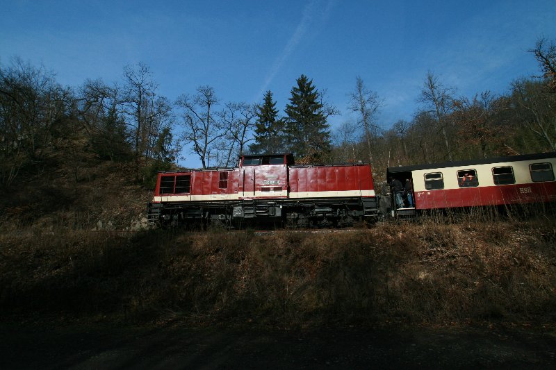 Harzkamel am Drahtzug 23.02.2008