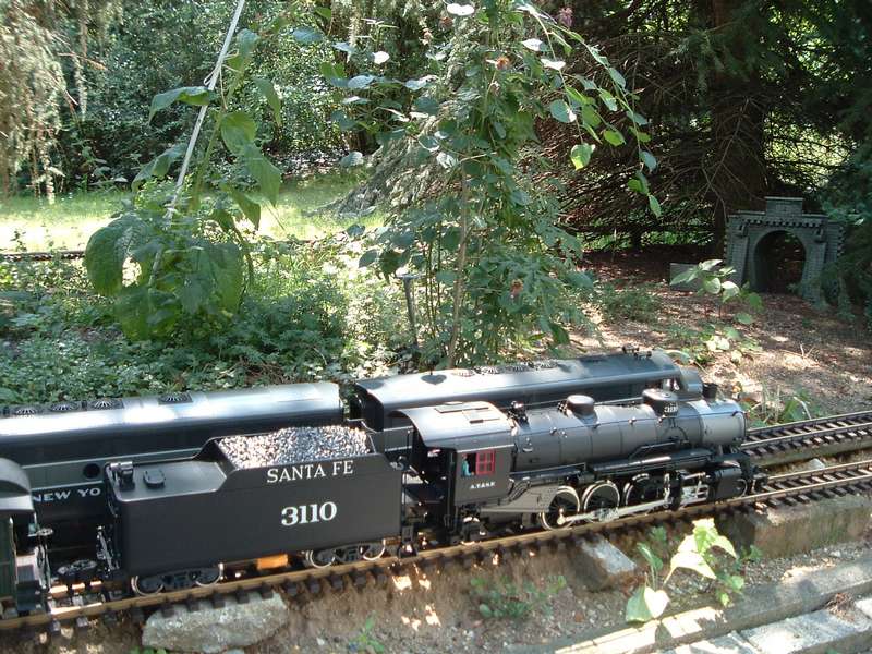 Mikado2