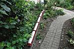 1360DSC05347.jpg