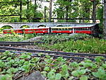 1729IMG_5684.jpg