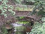 20250824_1333361.jpg 20250824_1333361.jpg